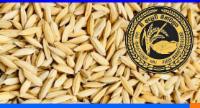 දින 4ක් තුළ වී ටොන් 305ක් මිලදී අරන්...